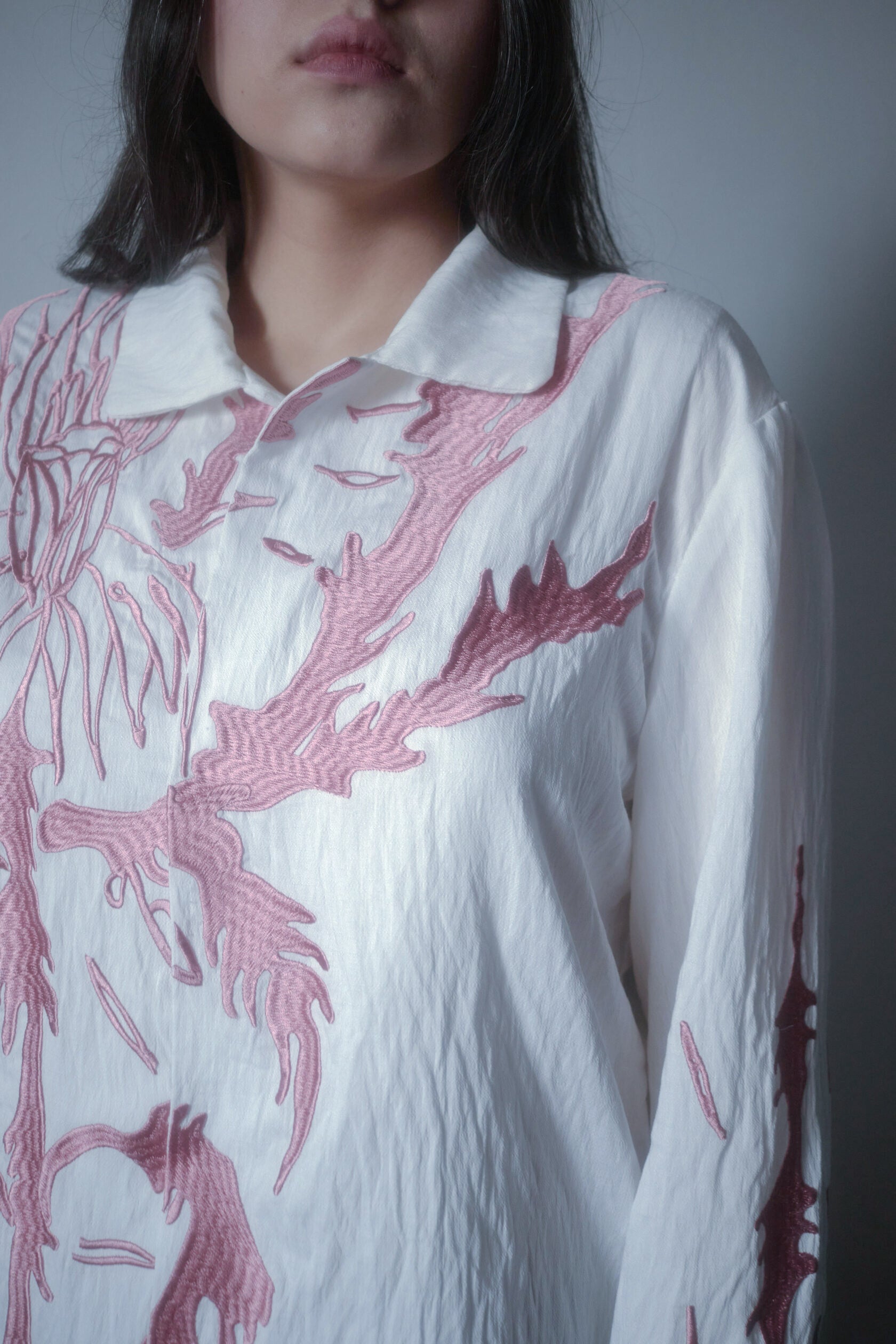Shirt with embroidery